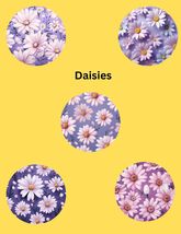 Daisy CGM Stickers, Dexcom G7/Libre Patches, Style Pack of 5 - $12.99