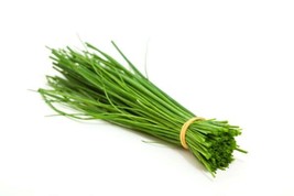 Fine Leaf Chive Seeds Fast Delicious Herb Half Gram 300 Seeds USA Seller... - £6.87 GBP