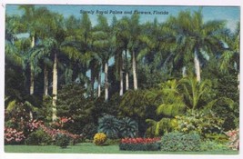 Postcard Stately Royal Palms &amp; Flowers Sunken Gardens St Petersburg Florida - £2.31 GBP