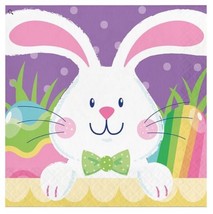 Hoppy Easter Bunny 16 Ct Luncheon Napkins 2 Ply Paper - £3.97 GBP