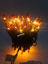 Thanksgiving Fall Harvest  Brown Orange Amber 50 String Lights Brown Cord - $16.82