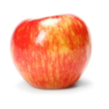 Honeycrisp Apple Tree 4-5′ with 1/2″ caliper, Bare root, Not for CA, Jan-Apr - £99.91 GBP
