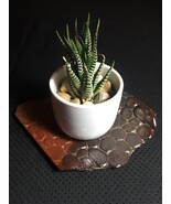 Artisan Pottery: Stone Pattern Display Plate / Spoonrest (MB01) - €17,09 EUR