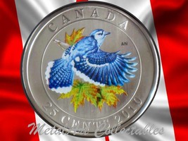 2010 BLUE JAY - BIRDS OF CANADA SERIES-  BEAUTIFUL COLORED 25 CENT COIN - $79.95