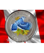 2010 BLUE JAY - BIRDS OF CANADA SERIES-  BEAUTIFUL COLORED 25 CENT COIN - $109.34 CAD