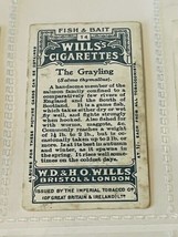 WD HO Wills Cigarettes Tobacco Trading Card 1910 Fish Bait Grayling #14 ... - $19.69