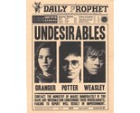 Harry Potter Daily Prophet Undesirables Hermione Granger Harry Ron Weasl... - $2.10