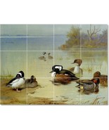 Archibald Thorburn Birds Painting Ceramic Tile Mural BTZ23195 - $164.66 CAD+