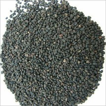 Babchi (Psoralea Corylifolia Seeds) Habit Herb 50g Powder - $10.78