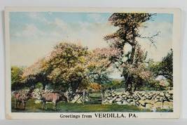 PA Greetings from VERDILLA  Pennsylvania Stone Wall Cow Trees Postcard S12 - £11.93 GBP