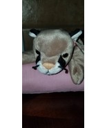 TY Beanie Baby &quot;CANYON&quot; THE COUGAR Rare/Retired Vintage Birthday May 29 ... - $4,768.64 MXN