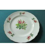 Royal Chelsea Moss Rose Plate 8&quot; ^^ - $61.50 CAD