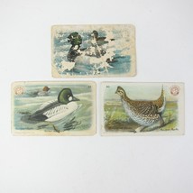 3 Victorian Trade Cards Arm &amp; Hammer Series 4 Bird Grouse Bluebill Whistler Duck - £7.98 GBP