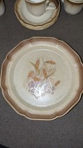 Vintage Mikasa Whole Wheat Granola E8001 Dinner Plate Never Used Only Displayed  - £18.47 GBP