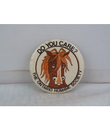 Vintage Cause Pin - Ontario Humane Society Horse Cartoon - Celluloid Pin  - $15.00
