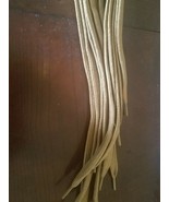 6 golden brown shoelaces - $30.57