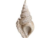 Midwest CBK Brown Burlap Resin Conch Shell Coastal Beach Ornament  NWT - $11.06