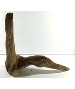 DRIFTWOOD Terrarium Aquascapes Home Decor DRIFT WOOD MEDIUM 10” L X 10.5&quot; H - $20.63 CAD