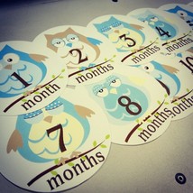 Monthly baby stickers. Blue owls bodysuit infants boys month labels - £6.26 GBP
