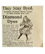 Wells Richardson Diamond Dyes 1894 Advertisement Victorian Fashion ADBN1bbb - $19.99