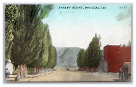 Dirt Street View Bruneau Idaho ID Wesley Andrews DB Postcard H28 - $23.71