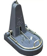 2 X Black Cat Standard Rat Trap:Mouse Catch (Grey, 2) Fast SHIPPING BEST... - $39.57