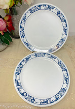 Corelle Harvest Time Dinner Plate,  Blue Fruit and Foliage Decorate The Lip - $40.00
