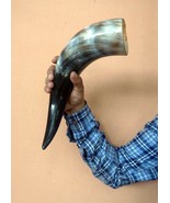 Pair Of Viking Ox Norwegian Drinking Horn For Mead Beer Wine Gift And De... - $1,068.13 MXN