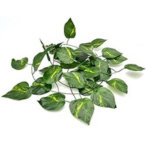 XYZReptiles Jungle Reptile Vine for Terrarium Reptile Decor Plants - £5.57 GBP