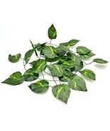 XYZReptiles Jungle Reptile Vine for Terrarium Reptile Decor Plants - £5.49 GBP