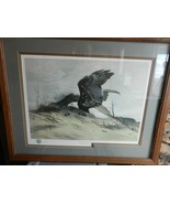 American Bald Eagle Over Sand Dune by Charles Frace Signed Framed &amp; Matt... - £1,596.71 GBP