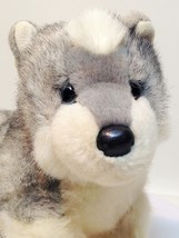 Douglas Sasha Husky Plush Puppy Dog Siberian Malamute Stuffed Animal 12&quot; - £19.97 GBP