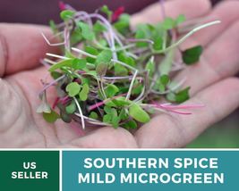 Southern Spice Mild Microgreen Seed 8 grams/seeds enough for a full 1020... - $22.20