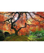 Portland Japanese Garden #1837 “Maple Tree Puzzle”, 500 pc, 18 x 24&quot;, NI... - £17.42 GBP