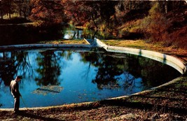 Vintage POSTCARD- Blue Springs, Near Eureka Springs, Arkansas Ozarks BK35 - £2.53 GBP