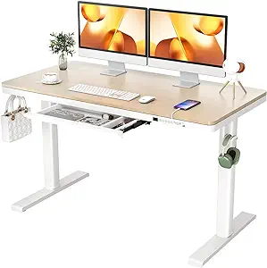 Dual Motor Electric Standing Desk With Drawers,48X24 Inch Whole-Piece Qu... - $667.99
