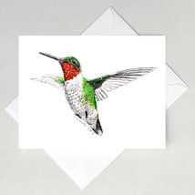 Hummingbird Note Cards - $4.25+