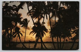 Florida Beautiful Sunset View Palm Trees Silhouette 1968 Vintage Postcard - £11.40 GBP