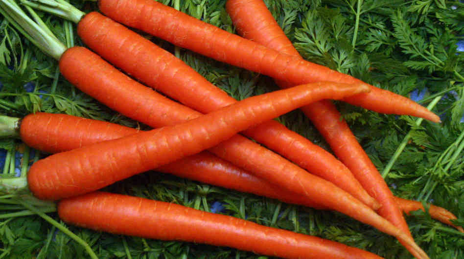 1Oz Scarlet Nantes Carrot Seeds Carrots 19000 Seeds Fresh Gardening Item image 2