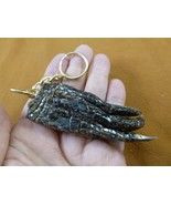 (G120-171) 3&quot; long Gator FOOT Keychain PAW ALLIGATOR TAXIDERMY med claw ... - $334.55 MXN