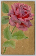 Beautiful Pink Rose Shimmering Gold  Backround Postcard N21 - £3.89 GBP
