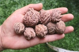 8pcs Desert Rose Selenite – Natural Raw Gemstone Mineral Crystal Cluster - $18.81