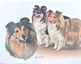 Retired Dog Breed SHELTIE TRIO Vinyl Softcover Address Book by Robert May - £5.52 GBP