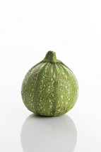 50 Seeds Round Zucchini Summer Squash Non-GMO Heirloom Vegetable Fresh S... - $107.65 MXN