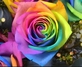 100 Seeds Crazy Rainbow Rose - $8.98