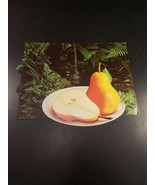 vintage 15&quot; two sided grocery store produce display ad. Pears - €5,14 EUR