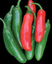 LWSTORE 1 4 Oz Serrano Tampiqueno Pepper Seeds Hot Pepper Seeds Non Gmo 1000Ct U - £7.81 GBP