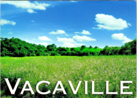 Postcard California Vacaville Lagoon Valley Park Recreational Area  6 x 4 Inches - £3.10 GBP