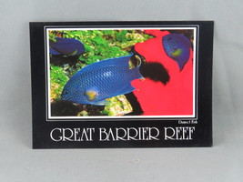Vintage Postcard - Damsel Fish Great Barrier Reef Australia - Peer Productions - £11.99 GBP