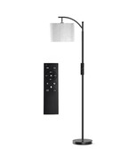 Wayfair Reading Standing Lamp 62&quot; Arched with Remote NIB - $1,048.03 MXN